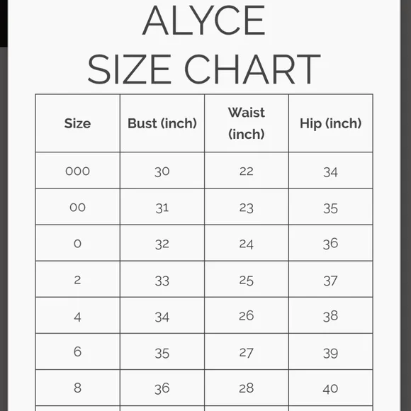 ALYCE PARIS Dress 1085Beaded Illusion Dress - Picture 8 of 8